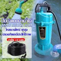 ราคา 1500W 750W ปั้มดูดโคลน ไดโว่ดูดน้ำ 2นิ้ว มอเตอร์ทองแดงแท้ 100 ปั้มน้ำ (19767561893)