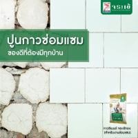 ราคา ปูนกาวซ่อมแซม จระเข้ทอง ขนาด4กก (388719420)