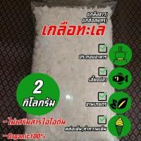 ราคา Sea Salt 2 kg เกลือสมุทร เกลือทะเล เกลือบริโภค น้ำหนัก 2 กิโลกรัม (9896096044)