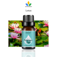 ราคา Lotus Fragrance Oil 10 ml Aroma Oil หัวน้ำหอม หัวเชื้อน้ำหอม กลิ่น ดอกบัว SAWADEEZEN (20700355208)