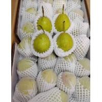 ราคา สาลี่หอม หวาน กรอบ อร่อย ผลไม้มงคล 1 กล่อง 6 kg (12966834854)