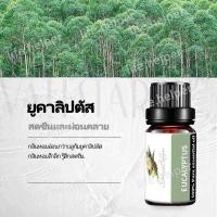 ราคา สินค้าใหม่ปี 2024 เครื่องกระจายกลิ่นอโรม่า ไฟหลากสี เครื่องพ่นไอน้ำ เครื่องพ่นไอน้ำอโรม่า เครื่องพ่นน้ำมันหอมระเหย 500ml Aroma Diffuser ควันเยอะ (20855732977)