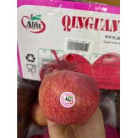 ราคา แอปเปิ้ล APPLE FUJI ALFA แอปเปิ้ล อร่อยแอบเปิ้ล หวาน อร่อย ผลไม้เดลิเวอรี่ ผลไม้นอก ผลไม้นำเข้า แอปเปิ้ลฟูจิ 28 ลูก (19285180981)