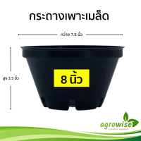ราคา กระถางต้นไม้พลาสติก กระถาง กระถางต้นไม้ สีดำ เพาะเมล็ด ทรงเตี้ย กว้างจริง 7 5 นิ้ว เบอร์ 8 50 ใบ (21363201769)