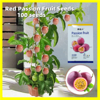 ราคา High Germination 100 Seeds Rare Dwarf Red Passion Fruit Seeds for Planting Edible Bonsai Seeds Fruit Tree Seeds Sweet Juicy Climbing Plants Seeds เมล็ดพันธุ์แตงหนามคิวาโน่ เมล็ดผลไม้ เมล็ดพันธุ์ผลไม้ 