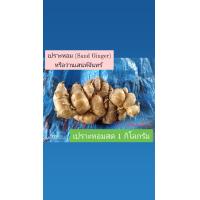 ราคา เปราะหอมสด หรือว่านเสน่ห์จันทร์ Fresh Sand Ginger 1 กิโลกรัม (17452252638)