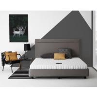 ราคา Dunlopillo ที่นอนรุ่น New Tropical รับประกัน 8 ปี ที่นอน 6ฟุต 5ฟุต 3 5ฟุต นุ่ม นอนสบาย ที่นอนโฟมยางสังเคราะห์ (20952426539)