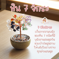 ราคา ต้นไม้ หินมงคล เสริม ฮวงจุ้ย โชคลาภ ร่ำรวย ความสูง 11 CM ของมงคล ของขวัญ ต้นไม้มงคล อเมทิสต์ โรสควอตซ์ ต้นไม้ปลอม (20942835524)