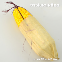 ราคา ผักโมเดล ผักพลาสติก ผักปลอม ผักผลไม้ปลอม สำหรับตกแต่งร้านอาหาร แต่งบ้าน แต่งร้านค้า (21144578427)