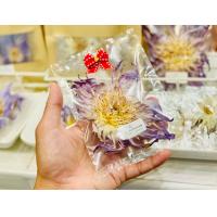 ราคา ดอกบัวแห้ง สายพันธุ์ ลูกแอมพล่า อวาลานช์ size XXL Dried Nymphaea Ampla hybrid Avalanche XXL ใช้ชงชา ยา (21157470440)