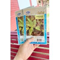 ราคา กระเพราแดง 750 เมล็ด เมล็ดพันธุ์ ตรา เจียไต๋ กระเพรา มีวิธีปลูกให้หลังซอง เมล็ดกระเพรา เมล็ดผัก กระเพราแดง (18263630229)