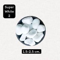 ราคา หินสีขาว หินหิมะ 1kg หินโรยกระถาง หินโรยพื้น หินแต่งสวน หินตู้ปลา (20866038409)