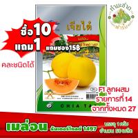 ราคา ซื้อ10แถม1 เมล็ดพันธุ์ เมล่อน ธันเดอร์โกลด์ 1497 Thunder gold 1497 ประมาณ 50เมล็ด เจียไต๋ เมล็ดพันธุ์พืช เมล็ดพันธุ์ผัก เมล็ดผัก เม็ดผัก (2799144550)