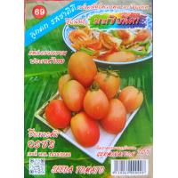 ราคา เมล็ดพันธุ์ มะเขือ มะระ มะเขือเทศ ทุกชนิด เมล็ดผักสวนครัว เมล็ดมะเขือ มะระขี้นก มะระจีน มะเขือเปราะ มะเขือพวง มะเขือยาว (20962571905)
