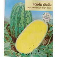 ราคา เมล็ดพันธุ์ แตงโม เมล่อน แคนตาลูป ทุกสายพันธุ์ 10 50 เมล็ด แตงโม แตงโมเหลือง แตงโมดำ แตงโมไร้เมล็ด (20959630100)