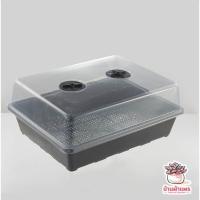 ราคา กล่องเพาะเมล็ด แคคตัส กระบองเพชร cactus succulent (5050830173)