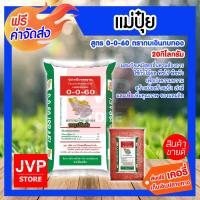 ราคา ส่งฟรี แม่ปุ๋ยเคมี แม่ปุ๋ย 0 0 60 กบเงินกบทอง มีให้เลือก 1 50กิโลกรัม โพแทสเซียม potassium ปุ๋ยสูตร ปุ๋ยเร่งหัว เร่งลงหัวมัน เพิ่มหัวมัน ปุ๋ยใส่มัน (2095418188)