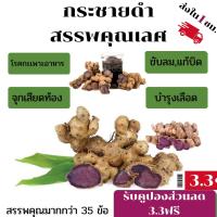 ราคา 1กิโลกรัม กระชายดำสด กระชายดำหัวสด (16354976664)
