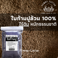 ราคา ดินหมักใบก้ามปูร่อน 1 กิโล ดินร่อนละเอียด ดินร่อนหยาบ ดินละเอียด ดินหยาบ ดินปลูกกระบองเพชร ดินแคคตัส ผสมดินปลูก วัสดุปลูก (17212857081)
