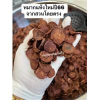 ราคา หมากแห้งปี66 เกรดพรีเมี่ยม หมากแห้งจากสวนโดยตรง หมากหั่น หมากซอย หมากกลีบส้ม เลือกได้ ขนาด 500กรัม (19142401578)