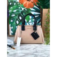 ราคา กระเป๋าสะพายข้าง charles and keith 9 นิ้ว (12457272837)