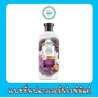 ราคา เฮอร์เบิล เอสเซ้นส์ แชมพู 400มล (20576928587)