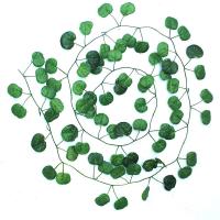 ราคา Hollywood พืชสีเขียวเถาวัลย์พลาสติก เถาวัลย์ใบไม้ปลอม เถาวัลย์ตกแต่ง เถาวัลย์ปลอม ใบไม้ปลอม ใบบีโกเนีย ใบโพธอส ใบแตงโม ใบองุ่น ใบมันเทศ ตกแต่งบ้าน ตกแต่งสวน (20635401371)