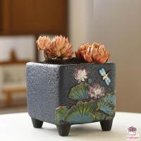 ราคา กระถางดินเผาสีครามลายดอกไม้ กระถางต้นไม้ ไม้อวบน้ำ กุหลาบหิน cactus succulentหลากหลายสายพันธุ์ (10140891426)