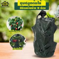 ราคา ถุงปลูกผัก ถุงปลูกต้นไม้ ถุงปลูกผลไม้ กระถางผ้า ปลูกผัก ผลไม้ NO KS104 (8761155540)