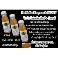 ราคา โพรไบโอติกส์ เอนไซม์ Probiotics Enzymes JANYANAKA โพรไบโอติกส์ เอนไซม์ผสมวุ้นสกูบี้หมักน้ำผึ้งOTOP มั่นใจต้อง (12412799942)