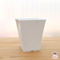 ราคา กระถางม้าลายปากบาน 4 นิ้ว กระถางพลาสติก แคคตัส กระบองเพชร ไม้อวบน้ำ Cactus Succulent (4559236804)