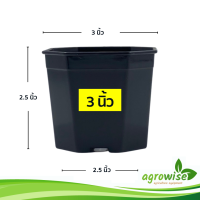 ราคา กะถางต้นไม้ กระถางพลาสติก กระถางต้นไม้ สีดำ 3 นิ้ว 8 เหลี่ยม 50 ใบ (18282441031)