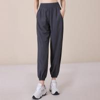 ราคา Lulus New Sports Ice Silk Pants Womens Sagging Quick Dried Side Buckle Slim Tight Yoga Pants CK1317 (20881898272)