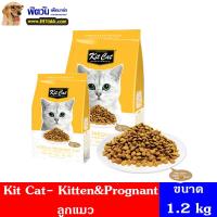 ราคา อาหารแมว Kit Cat อาหารแมว Kitten Prognant อาหารแมว Kitten 1 2 Kg (2271750925)