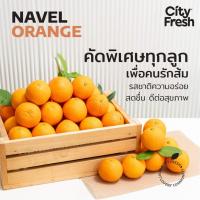 ราคา CityFresh ส้มนาเวล Navel Orange ผลไม้นำเข้า (21339383161)