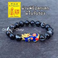 ราคา Collect Shop กำไลหิน ดวงตาสวรรค์ หินแท้ ปี่เซียะ เงินทอง ปกป้อง ความก้าวหน้า (12120508109)