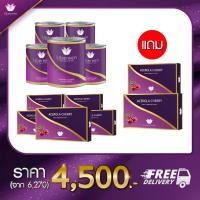 ราคา คอลลาเจนUbereenCollagen5กระปุกวิตซี5กล่อง แถมฟรีวิตามินซี2ยูเบอรีนคอลลาเจนที่มีวิตามินซีกลูต้าคอลลาเจนเกรดpremuim (6350514834)