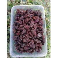 ราคา ลูกเกด ลูกเกดดำ ไซส์ใหญ่ เกรดพรีเมี่ยม หอมหวาน ไม่มีน้ำตาล ขนาด 500 กรัม (12475469975)