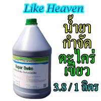 ราคา น้ำยาดูแลสระว่ายน้ำ กำจัดตะไคร่เขียว 3 8ลิตร (2141858202)