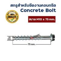 ราคา พร้อมส่ง ADHAWK โบลท์ สำหรับยึดพื้นคอนกรีต สกรูยึดคอนกรีต พุกยึดคอนกรีต ยกกล่องราคาพิเศษ เจาะ ยึด จบ (17355312582)