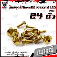 ราคา น็อตชุดสีเวฟ125i ปลาวาฬ LED 2023 1ชุด 24 น๊อตชุดสีWave125i ปลาวาฬLED น็อตเฟรมเวฟ125i น็อตเวฟ125i ปลาวาฬ2023 น็อตสแตนเลส (17059755775)