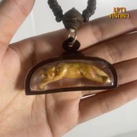 ราคา เขี้ยวแกะ เขี้ยวแกะเสือกระโดด พร้อมสร้อยกะลาตาเดียว (17197960775)