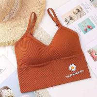 ราคา ส่งไว บรา บราดอกเดซี่ บราสปอร์ต สกรีนลายดอกไม้เดซี่ บราสวยเดี่ยว ปรับสายได้ (4538100928)