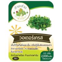 ราคา ทำมะชาดฟาร์ม มีคู่มือ 10แถม1 500 2000เมล็ด เมล็ดพันธุ์ ผักสลัด กรีนโอ๊ค คอส ฟิลเลย์ สลัดแก้ว บัตเตอร์เฮด ผักกาดหอมอิตาลี่ ไฮโดรโปรนิกส์ (2476660294)