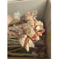 ราคา ชะอมกิ่งตอนปราจีนบุรี50กิ่ง470บาท (12841775470)