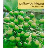 ราคา เมล็ดพันธุ์ มะเขือ มะระ มะเขือเทศ ทุกชนิด เมล็ดผักสวนครัว เมล็ดมะเขือ มะระขี้นก มะระจีน มะเขือเปราะ มะเขือพวง มะเขือยาว (20962571886)
