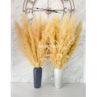 ราคา แจกัน แถมฟรี ดอกเลาสีขาวทอง ดอกเลา ดอกเลาขาวทองธรรมชาติ ดอกไม้จริง pampas ดอกหญ้าแห้ง หญ้าแห้ง (15914519932)