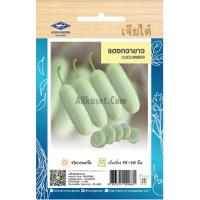 ราคา เมล็ดพันธุ์ แตงกวาขาว เจียไต๋ (20670247176)