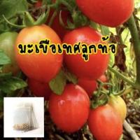 ราคา เมล็มะเขือเทศลูกท้อ มะเขือเทศ ซื้อ 10 แถม 1 คละอย่างได้ (8097416384)