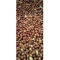 ราคา ถั่วลิสงทอด เกลือโบราณ 500กรัม หอม สด กรอบ อร่อยทุกวัน (20824577831)